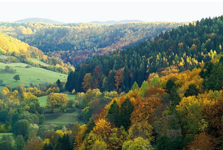 Hummelcasa Ferienhaus Bayreuth Pittersdorf Екстериор снимка